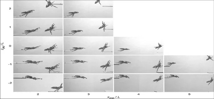 Jumping Mechanics Of Spider Applied To The Robotics kim jumping physics