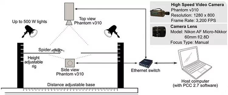 Jumping Mechanics Of Spider Applied To The Robotics kim jumping platform adjustments