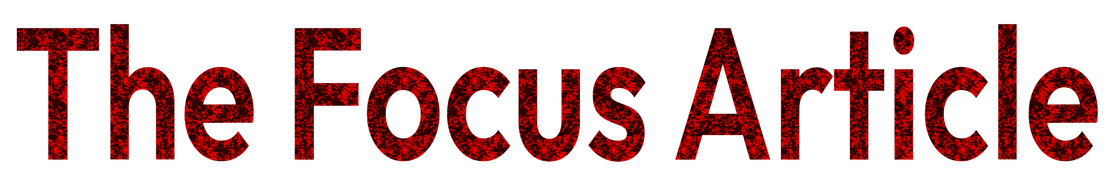 The Focus Article